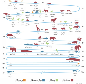 animals
